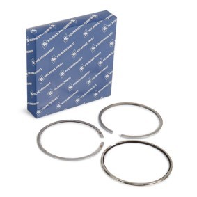 Acquista Kit fasce elastiche da KOLBENSCHMIDT 800073410000 a buon mercato per soli 30,07 €