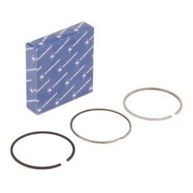 Acquista Kit fasce elastiche da KOLBENSCHMIDT 800057110000 a buon mercato per soli 31,88 €