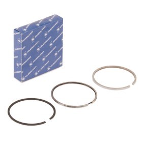 Acquista Kit fasce elastiche da KOLBENSCHMIDT 800045910000 a buon mercato per soli 29,46 €