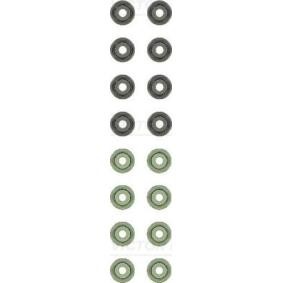 Comprar Juego de juntas, vástago de válvula de REINZ 12-10162-01 a bajo precio de 26,68 €
