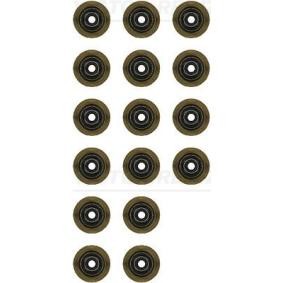 Comprar Juego de juntas, vástago de válvula de REINZ 12-11136-01 a bajo precio de 93,58 €