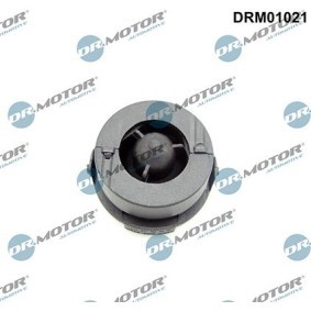 Achetez des Pompe de direction assistée LIZARTE 04.94.0409-1 à prix pour 246,68 €