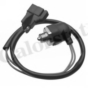 Comprar Interruptor, piloto de marcha atrás de CALORSTAT by Vernet RS5593 a bajo precio de 25,93 €