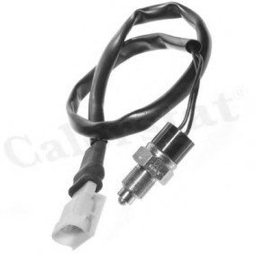 Compre Interruptor, luz de marcha-atrás da CALORSTAT by Vernet RS5548 a um preço baixo por 29,87 €