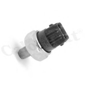 Comprar Interruptor de control de la presión de aceite de CALORSTAT by Vernet OS3558 a bajo precio de 21,07 €