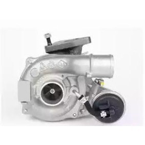 Turbolader von DELPHI HRX309