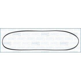 Ventildeckeldichtung 11042800
