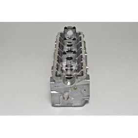 Zylinderkopf 908031