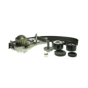 Achetez des Kit de distribution + pompe à eau Saleri SIL K1PA970S à prix pour 135,60 €