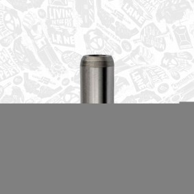 Achetez des Guide de soupape ET ENGINETEAM VG0034 à prix pour 5,38 €