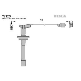 Zündleitungssatz T712S