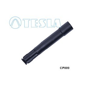 Stecker, Zündkerze CP009