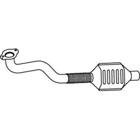Katalysator 66301