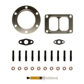 Comprar Juego de montaje, turbocompresor de MAHLE ORIGINAL 213 TA 17695 000 a bajo precio de 42,62 €