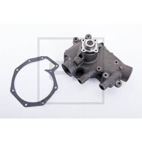 Achetez des Pompe à eau PETERS ENNEPETAL 100.150-00A à prix pour 150,68 €