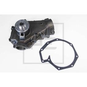 Achetez des Pompe à eau PETERS ENNEPETAL 100.157-00A à prix pour 189,40 €