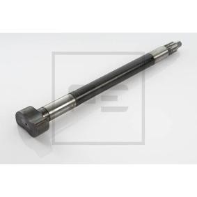 Achetez des Douille, pivot de fusée d'essieu PETERS ENNEPETAL 031.332-00A à prix pour 31,77 €