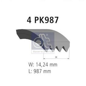 Keilrippenriemen von DT Spare Parts