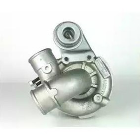 Turbolader von DELPHI HRX243