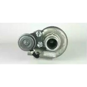 Turbolader von DELPHI HRX513