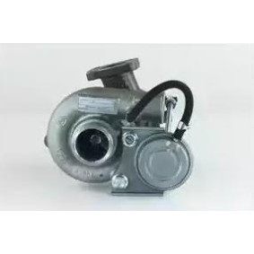 Compre Turbocompressor da DELPHI HRX512 a um preço baixo por 673,18 €