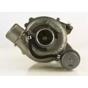 Turbolader von DELPHI HRX256