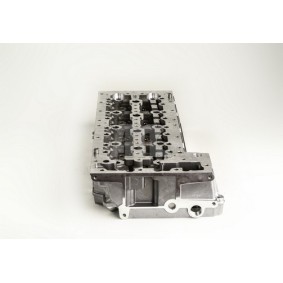 Zylinderkopf 908559K