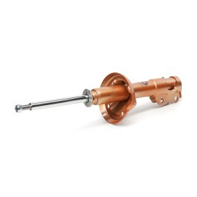 Stoßdämpfer 324025 von KYB günstig für 99,51 € online kaufen