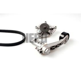 Achetez des Pompe à eau+Jeu de courroie trapézoïdale à nervures HEPU PK04951 à prix pour 117,35 €