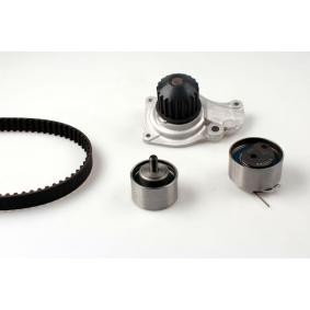 Achetez des Kit de distribution + pompe à eau HEPU PK17191 à prix pour 233,58 €
