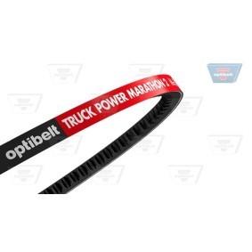 Comprar Correa trapezoidal de OPTIBELT AVX 13 x 1275 TM a bajo precio de 33,53 €