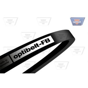 Comprar Tensor de correa poli V de OPTIBELT 1007SN a bajo precio de 90,54 €