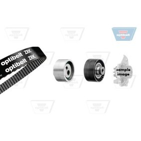Comprar Tensor de correa poli V de OPTIBELT 2019SN a bajo precio de 211,74 €