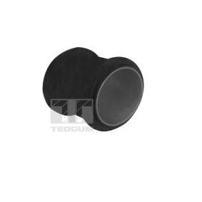 Achetez des Pompe à eau TEDGUM 00086234 à prix pour 2,88 €