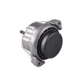 Acquista Supporto motore da TEDGUM 00441738 a buon mercato per soli 14,92 €