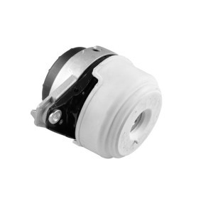 Acquista Boccola, Asta d'innesto da TEDGUM 00604686 a buon mercato per soli 18,10 €