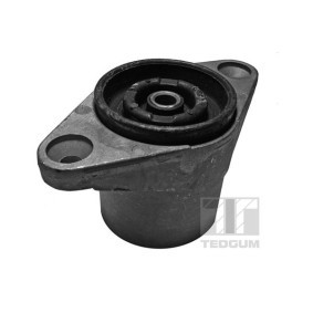 Acquista Alloggiam. ammortizzatore da TEDGUM 00729328 a buon mercato per soli 10,50 €