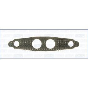 AGR-Ventil-Dichtung 00815600