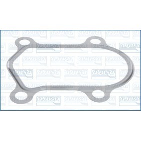 Dichtung, Turbineneinlass (Lader) 00840100