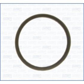 Dichtung, Thermostat 00843000