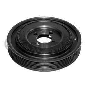 Achetez des Poulie damper (vilebrequin) CAUTEX 010965 à prix pour 115,21 €