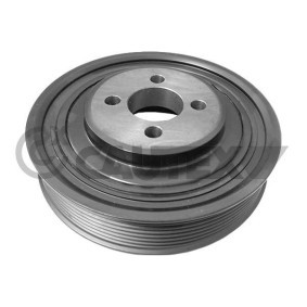 Achetez des Poulie damper (vilebrequin) CAUTEX 010976 à prix pour 141,46 €