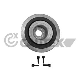 Achetez des Poulie damper (vilebrequin) CAUTEX 011441 à prix pour 126,62 €