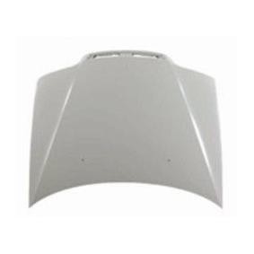 Motorhaube 016-09-100
