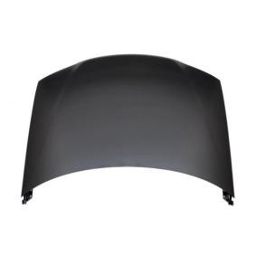 Motorhaube 016-10-100