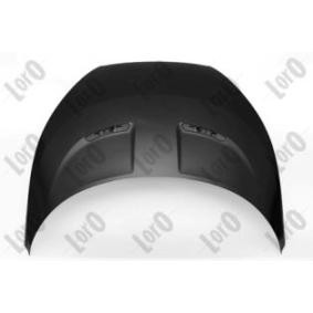Motorhaube 019-01-100