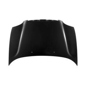 Motorhaube 019-30-100