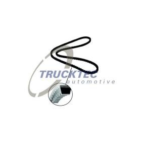 Keilriemen 03.19.009 ISUZU D-MAX von TRUCKTEC AUTOMOTIVE