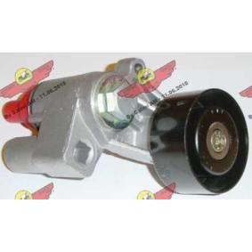 Acquista Braccio tenditore, Cinghia Poly-V da AUTOKIT 03.627 a buon mercato per soli 104,68 €