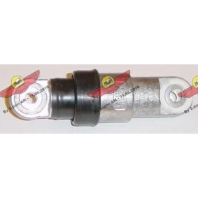 Schwingungsdämpfer, Keilrippenriemen 03.787 ALPINA B10 von AUTOKIT